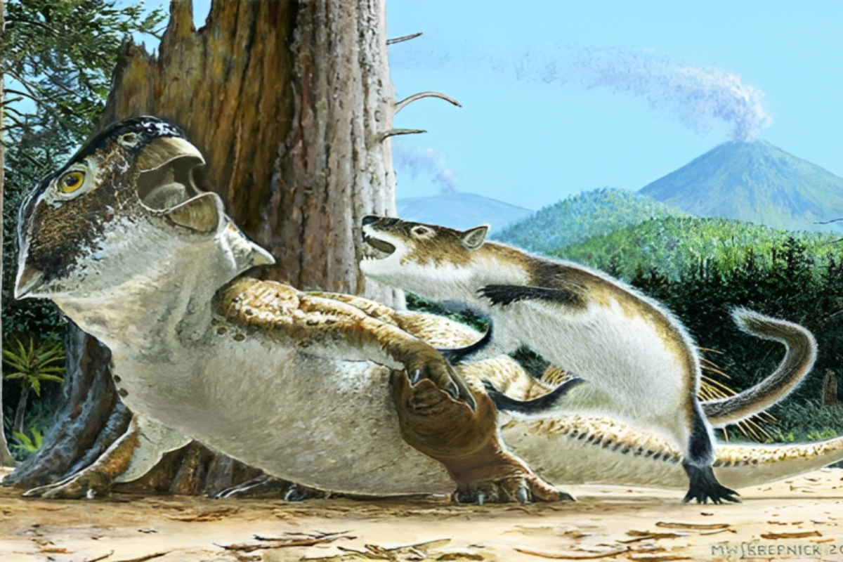 Mammal vs Dinosaur