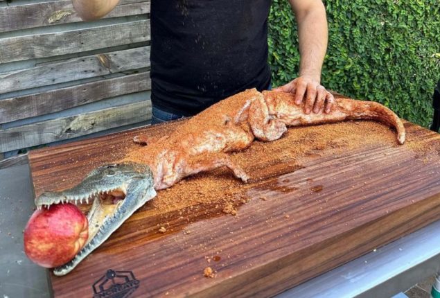 Chef Faces 9 Years in Prison for Cooking Crocodile on BBQ