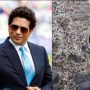 Tendulkar’s Tiger Photo: International Tiger Day