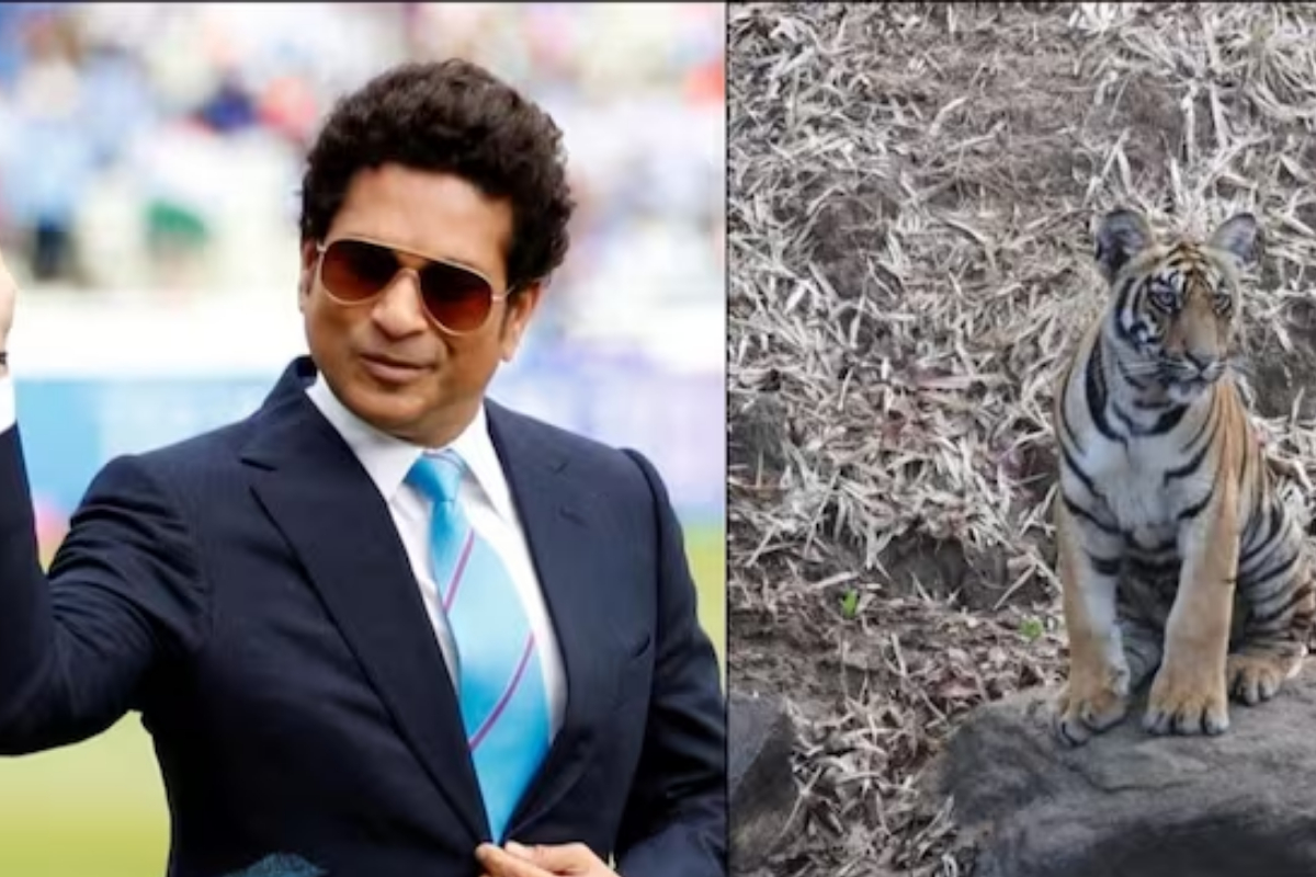 Tendulkar Tiger Photo
