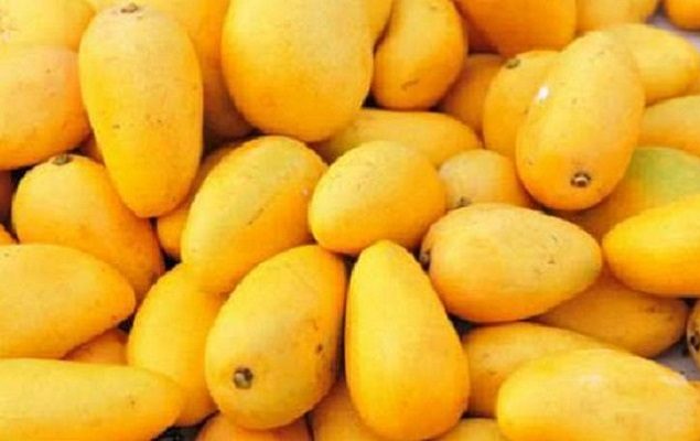 Mangoes