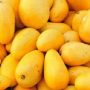 Masses urged to consume mangoes cautiously to avoid health problems