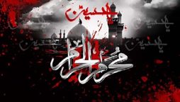 Muharram moon not sighted, Ashura on July 29