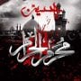 Muharram moon not sighted, Ashura on July 29