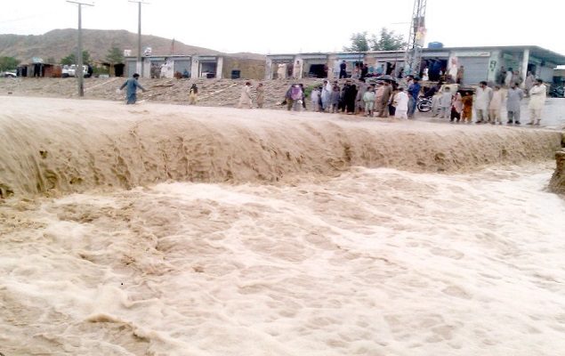 15 killed, 14 injured in recent rains in KP: PDMA
