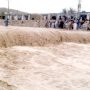 15 killed, 14 injured in recent rains in KP: PDMA
