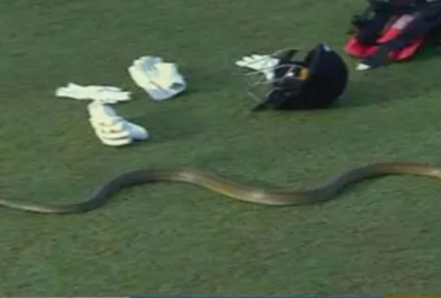 LPL 2023: Snake on the field, Play halted in LPL match