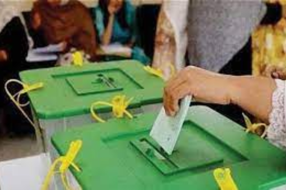 Census delay election