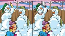 Spot 10 Differences in 11 Seconds Challenge