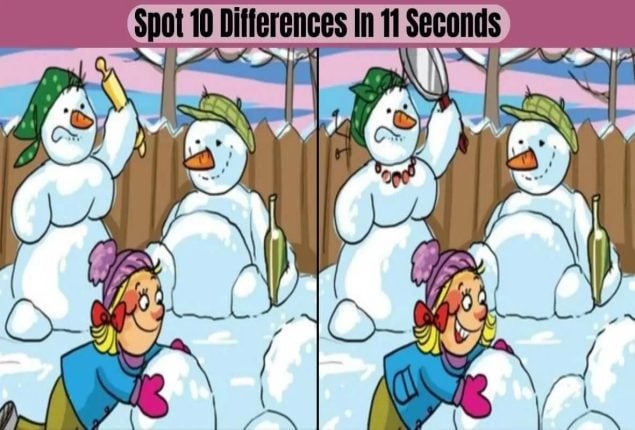 Spot 10 Differences in 11 Seconds Challenge