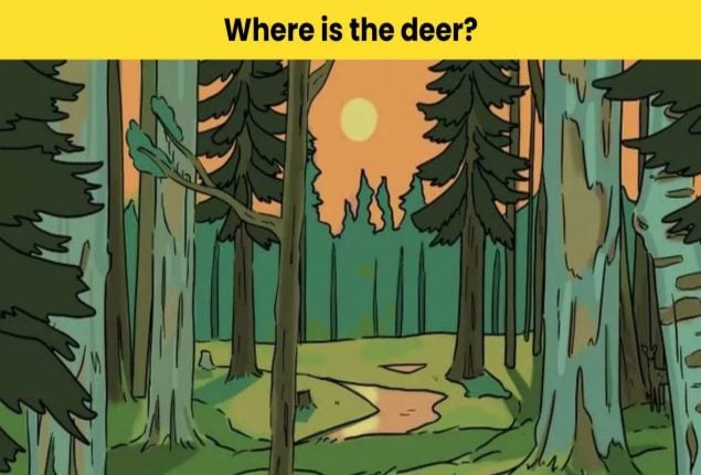 Visual Challenge: Spot the Deer in the Woods in 7 Seconds