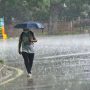 Monsoon rains in Lahore break 30-year record