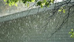 Rain, thundershower expected in various parts of country