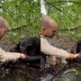 Chimpanzee Displays Gratitude by Washing JC Pieri’s Hands