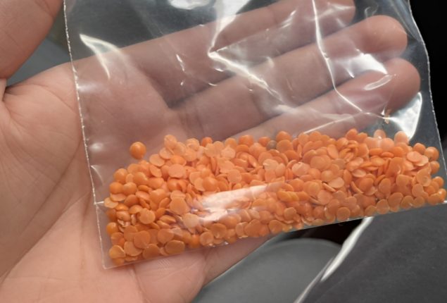 Mom Sends Son to Grocery Store with ‘Dal Sample’