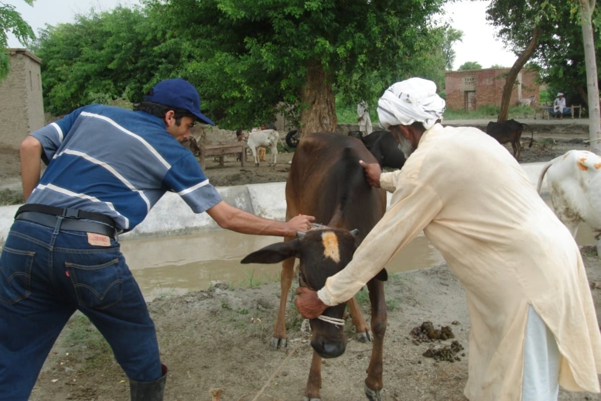 Pak Army veterinary camp