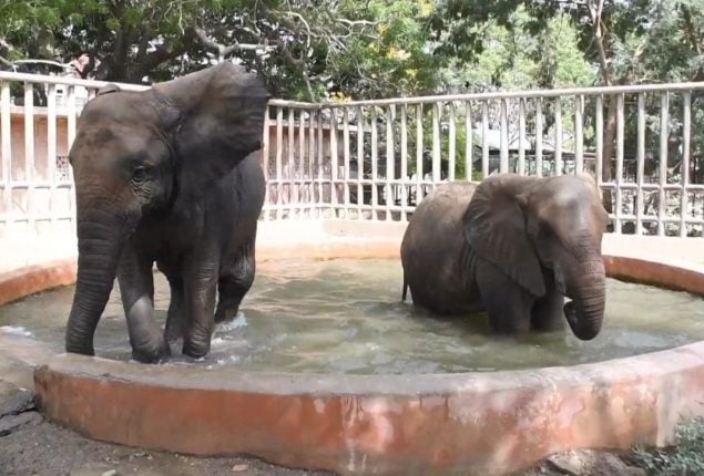 Punjab zoo