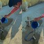 Watch: Man Baths Cobras with Water