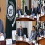 Delimitation process to be completed by Dec 14: CEC