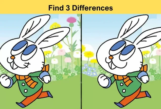 Spot the difference: Can you spot all the differences in 8 seconds?