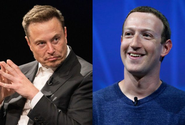 Elon Musk's playful challenge and Zuckerberg's cage match decision