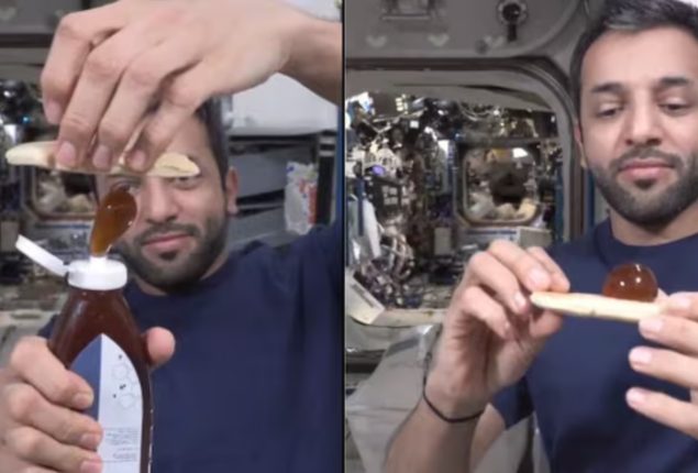 UAE Astronaut Sultan Al Neyadi Makes Honey Sandwich in Space