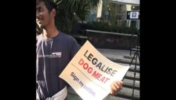 ‘Legalise dog meat’ petition sparks controversy in Bengaluru