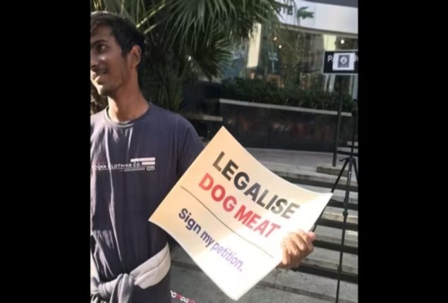 ‘Legalise dog meat’ petition sparks controversy in Bengaluru
