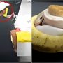 Man Tries to Smuggle 14 Snakes in Pockets Through Customs
