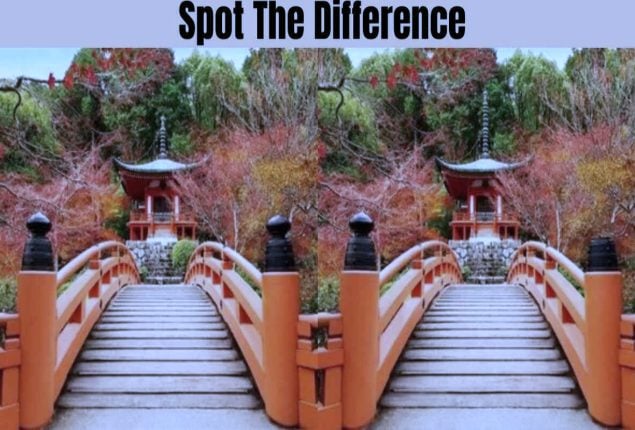 Get Ready To Spot Differences Between Two Identical Images