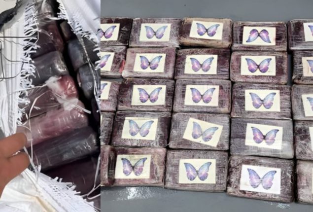 Tampa Bay Mayor’s Fishing Expedition Yields 70-Pound Cocaine Haul
