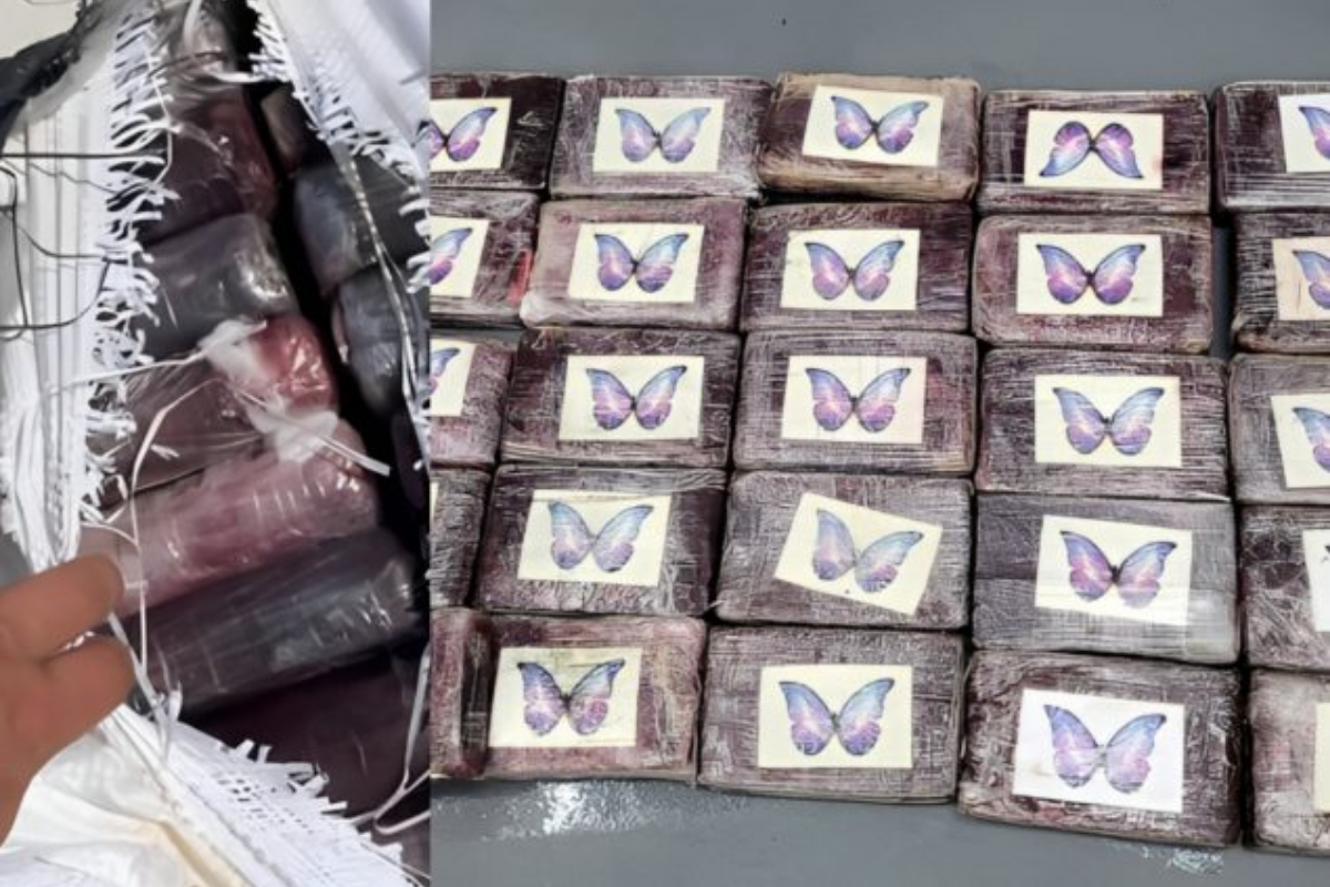 Tampa Bay Mayor's Fishing Expedition Yields 70-Pound Cocaine Haul