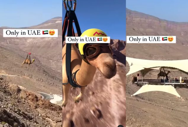 World's Longest Zipline