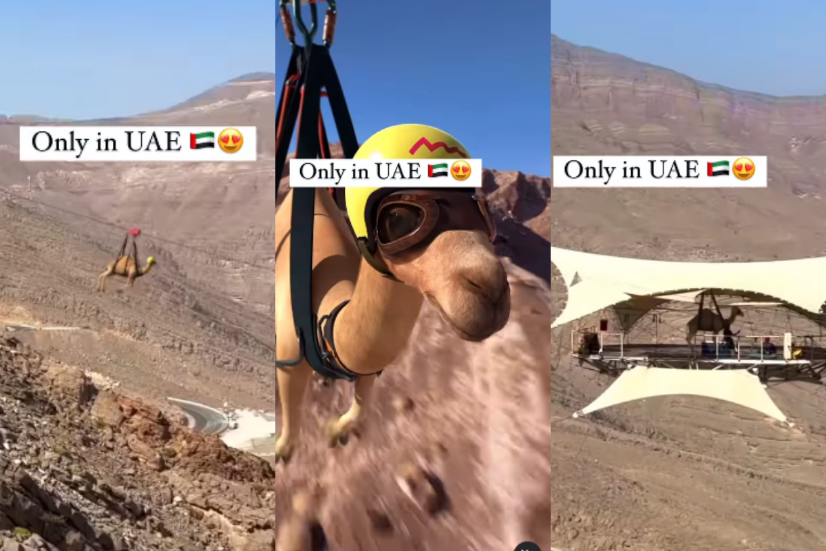 World's Longest Zipline