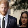 Prince Harry and Meghan Markle Revive Sussex Brand at Crucial Time