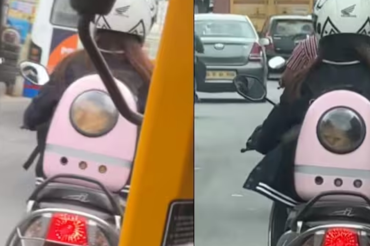 Watch: Woman’s scooter ride with pet cat in her backpack is a Peak Bengaluru moment