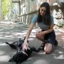 Hot Summer Threatens Georgia’s Stray Animals