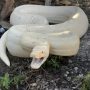 Big Snake Tries To Enter in Oklahoma Home