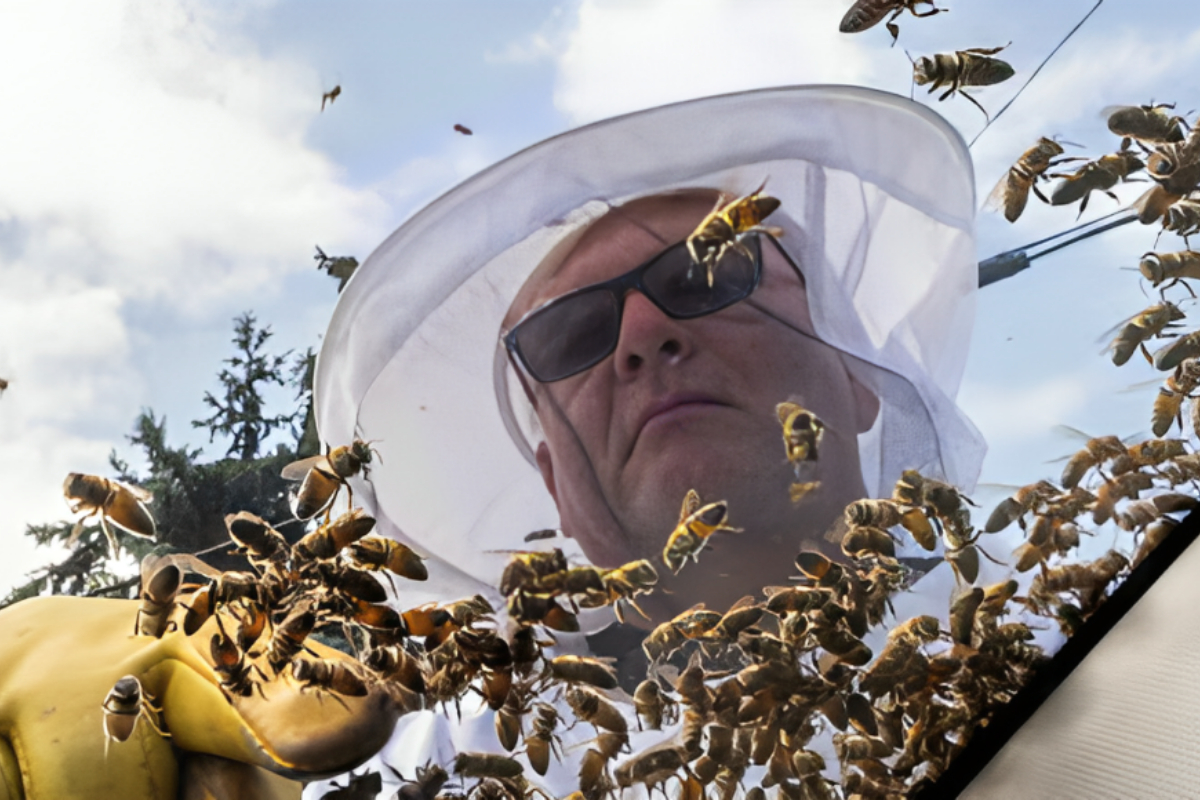 5 Million Bees