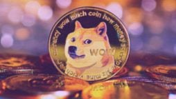 Doge Price Prediction