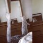 Cat’s Hilarious Reaction to Discovering Its Ears