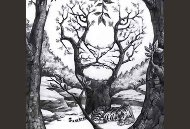 Seek and Find Puzzle: Spot the Hidden Tiger in 6 Seconds!