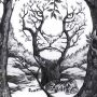 Seek and Find Puzzle: Spot the Hidden Tiger in 6 Seconds!
