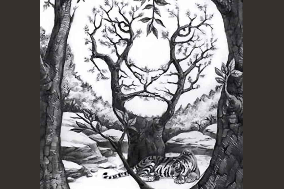Seek and Find Puzzle