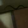 Snakes Found in Wisconsin Hotel Pool and Hot Tub