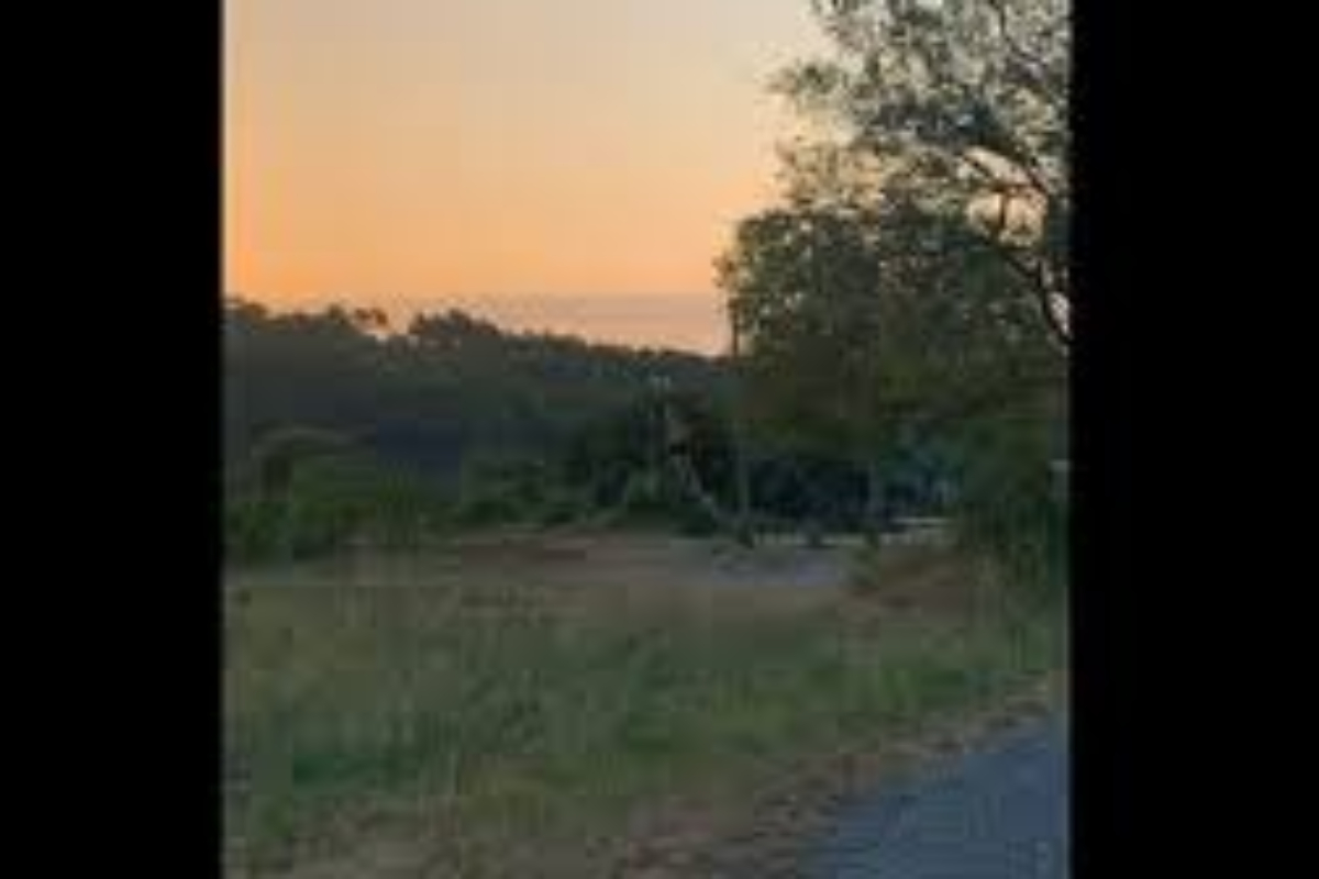 Optical Illusion Tricks People Into Thinking Man Is Flying