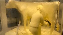 800-Pound ‘Butter Cow’ Returns to Illinois State Fair