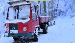 Optical Illusion Test: Can You Spot The Snow Fox In 8 Seconds?