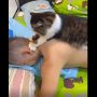 Cat Transforms into Human’s Massage Therapist