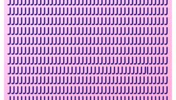 Brain Teaser Puzzle